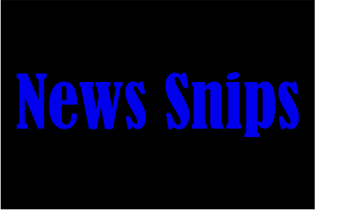 Graphic for News Snips